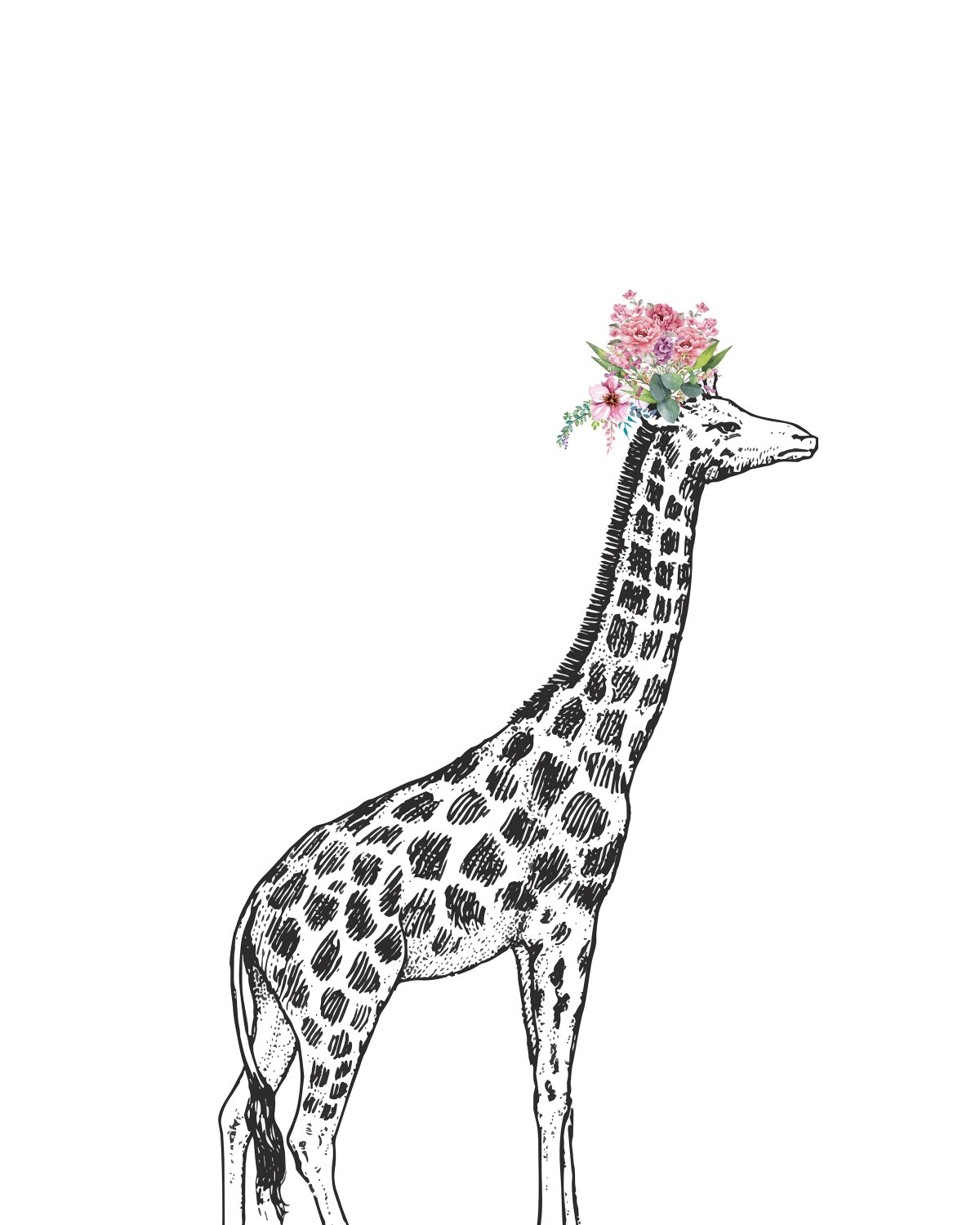Жираф рисунок линиями