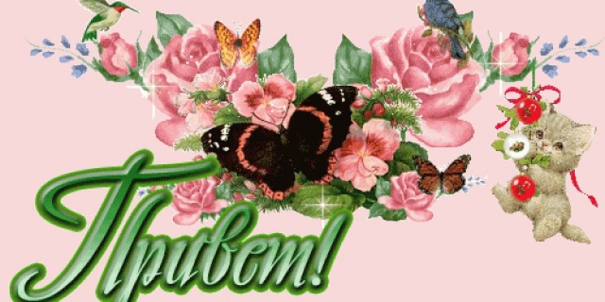 Привет солнышко