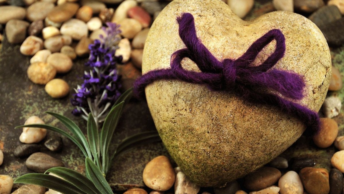 Цветы камушки