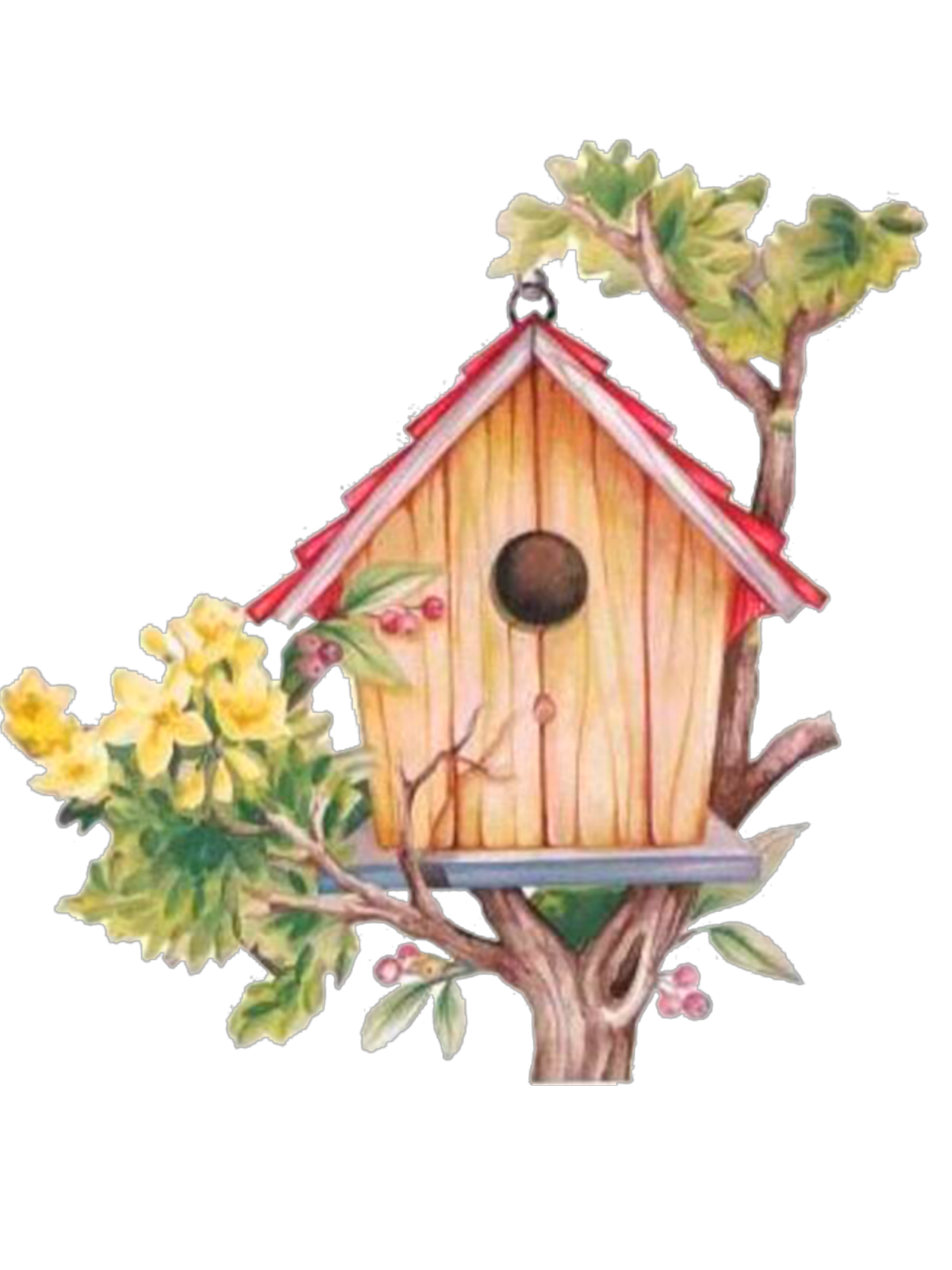 Векторный домик для птиц