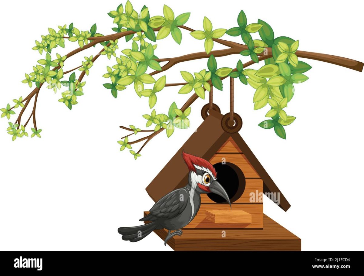 Птичьи домик на белом фоне