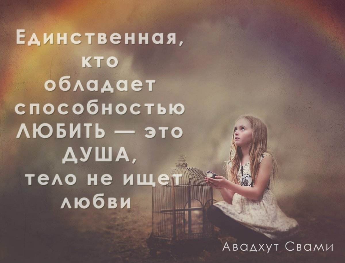 Душевные высказывания