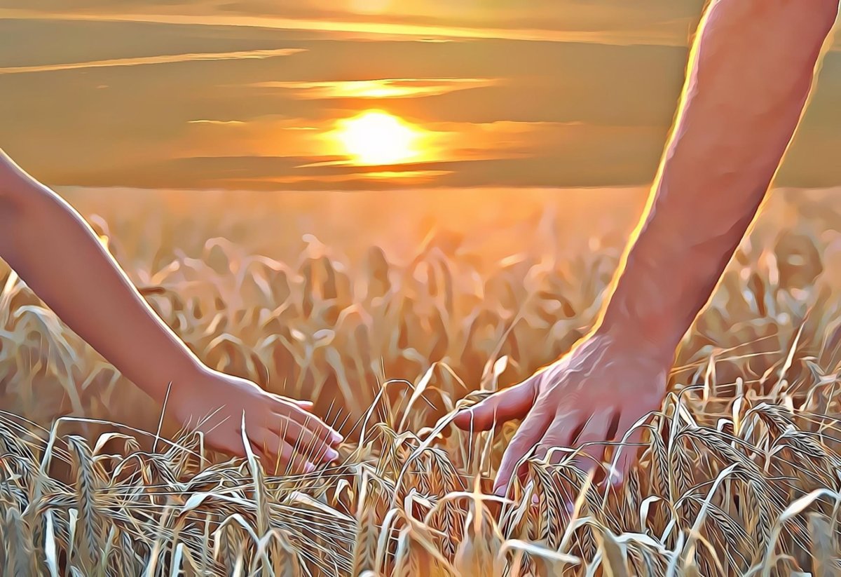 Берегите друг друга