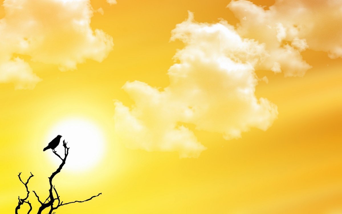 Солнечное небо