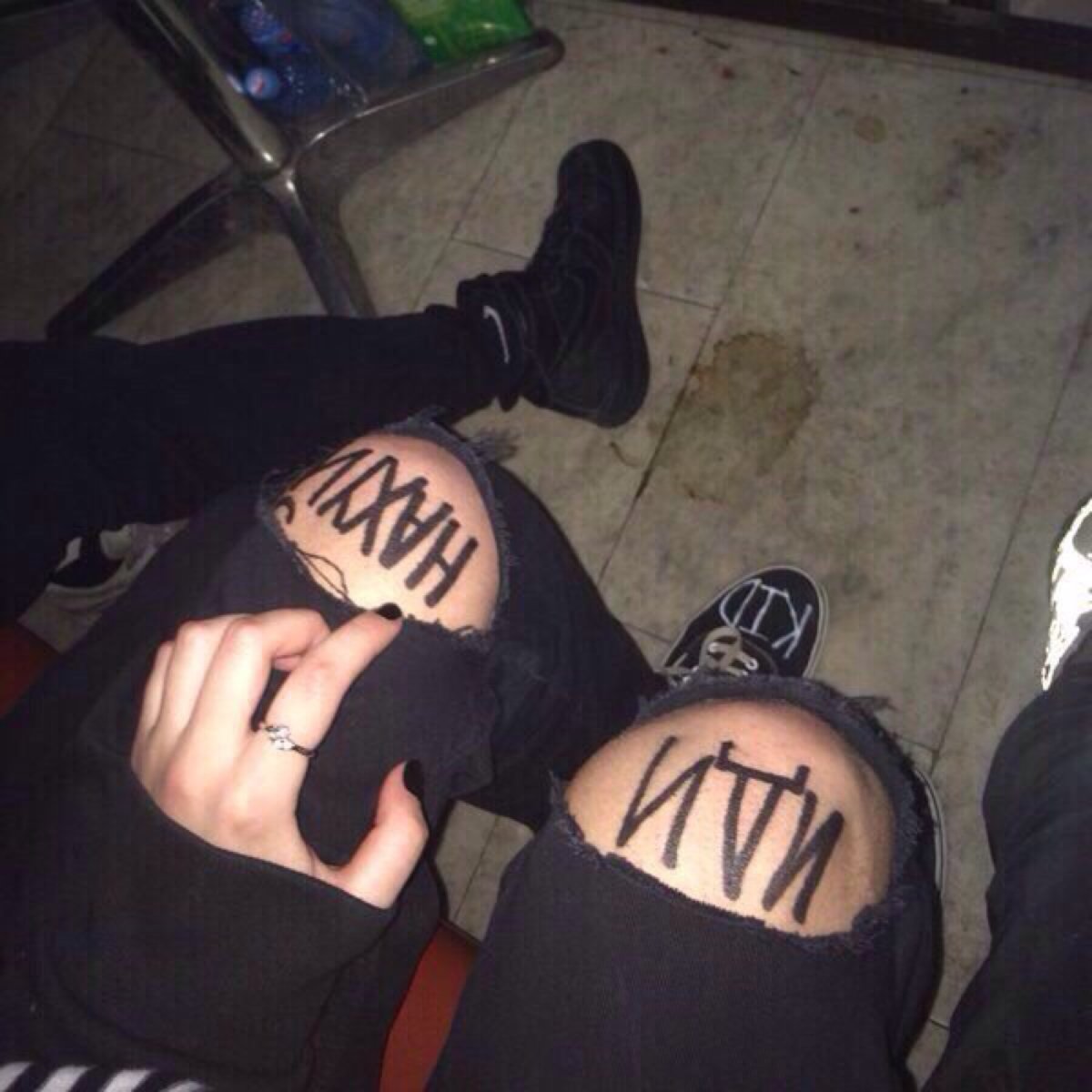 Каракал Гоша большой Шлепа