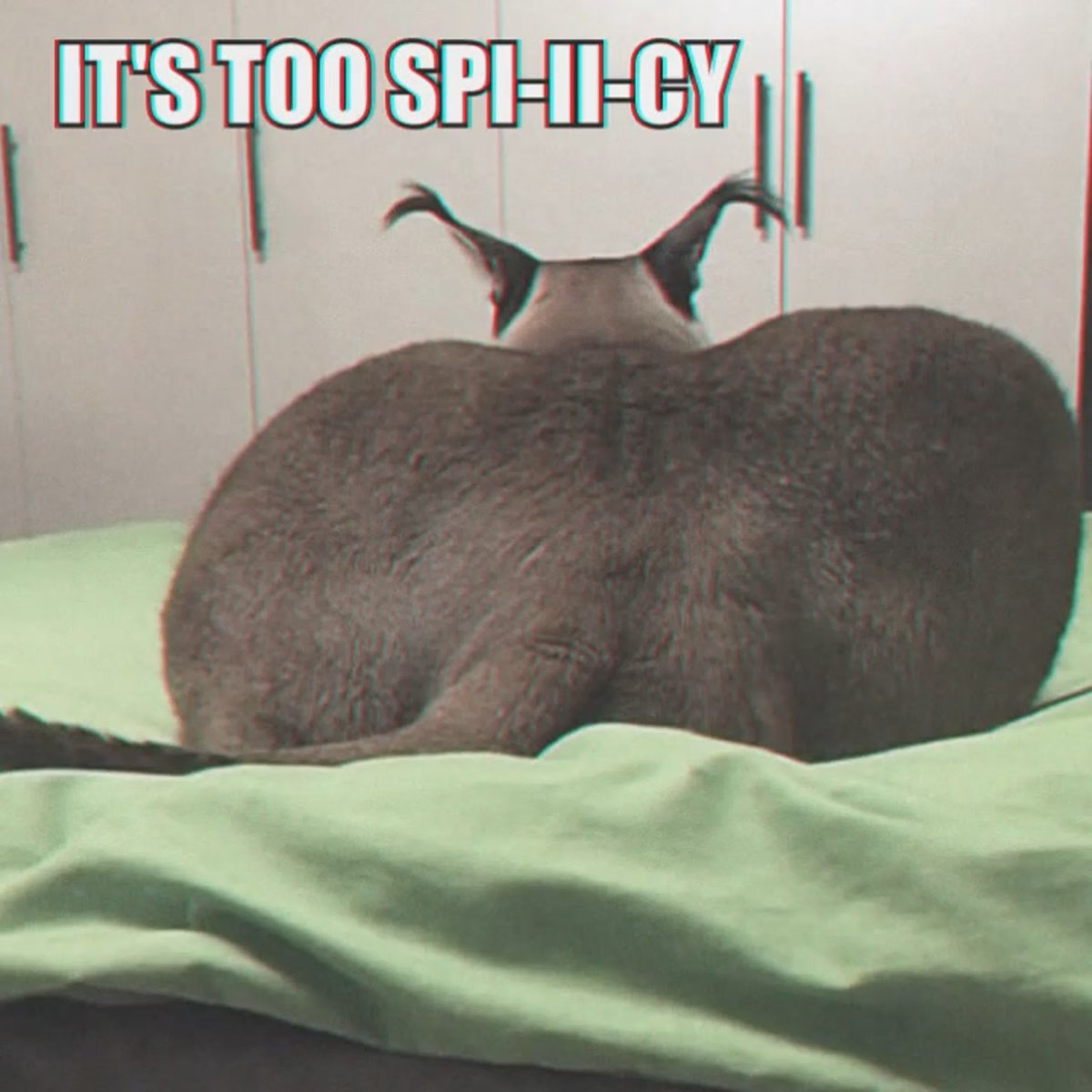 Тапочки с Паниным