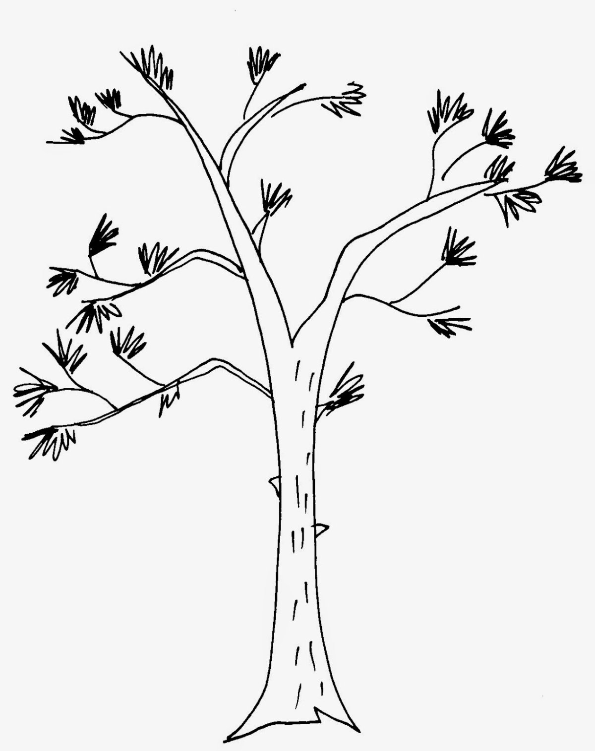 Береза раскраска для детей