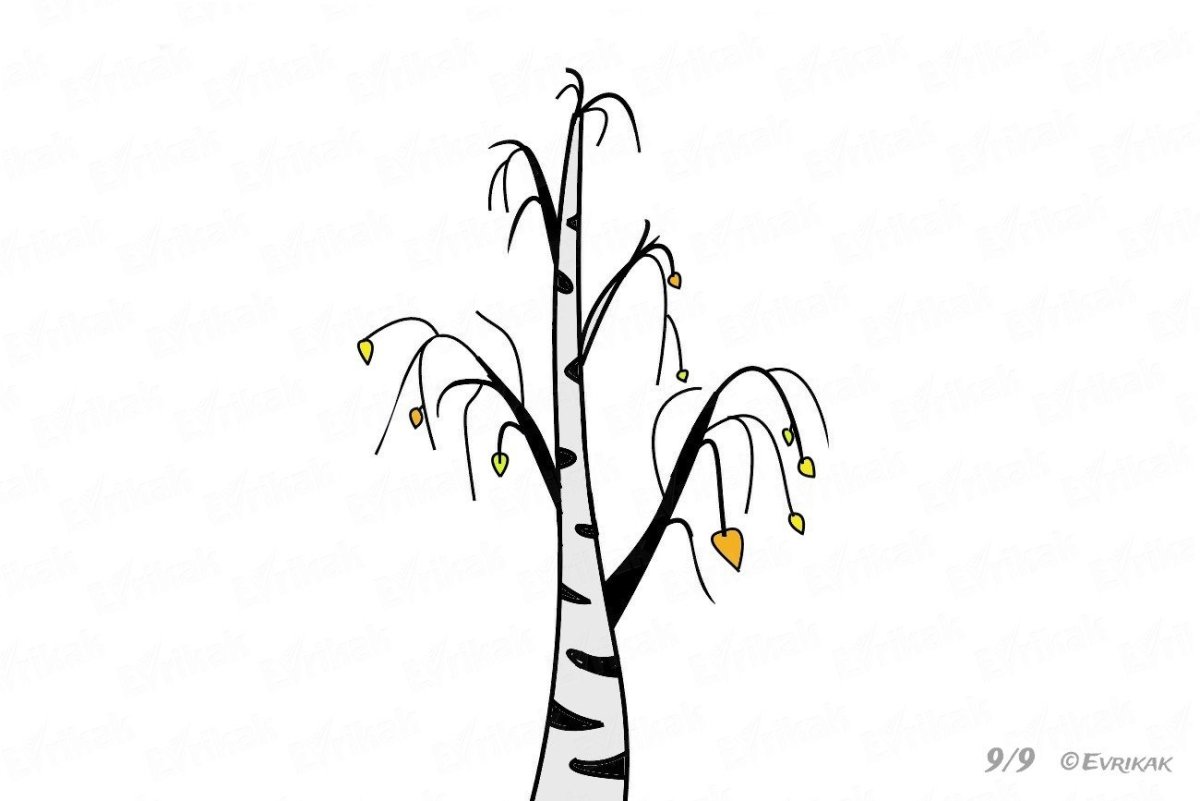 Береза без листьев