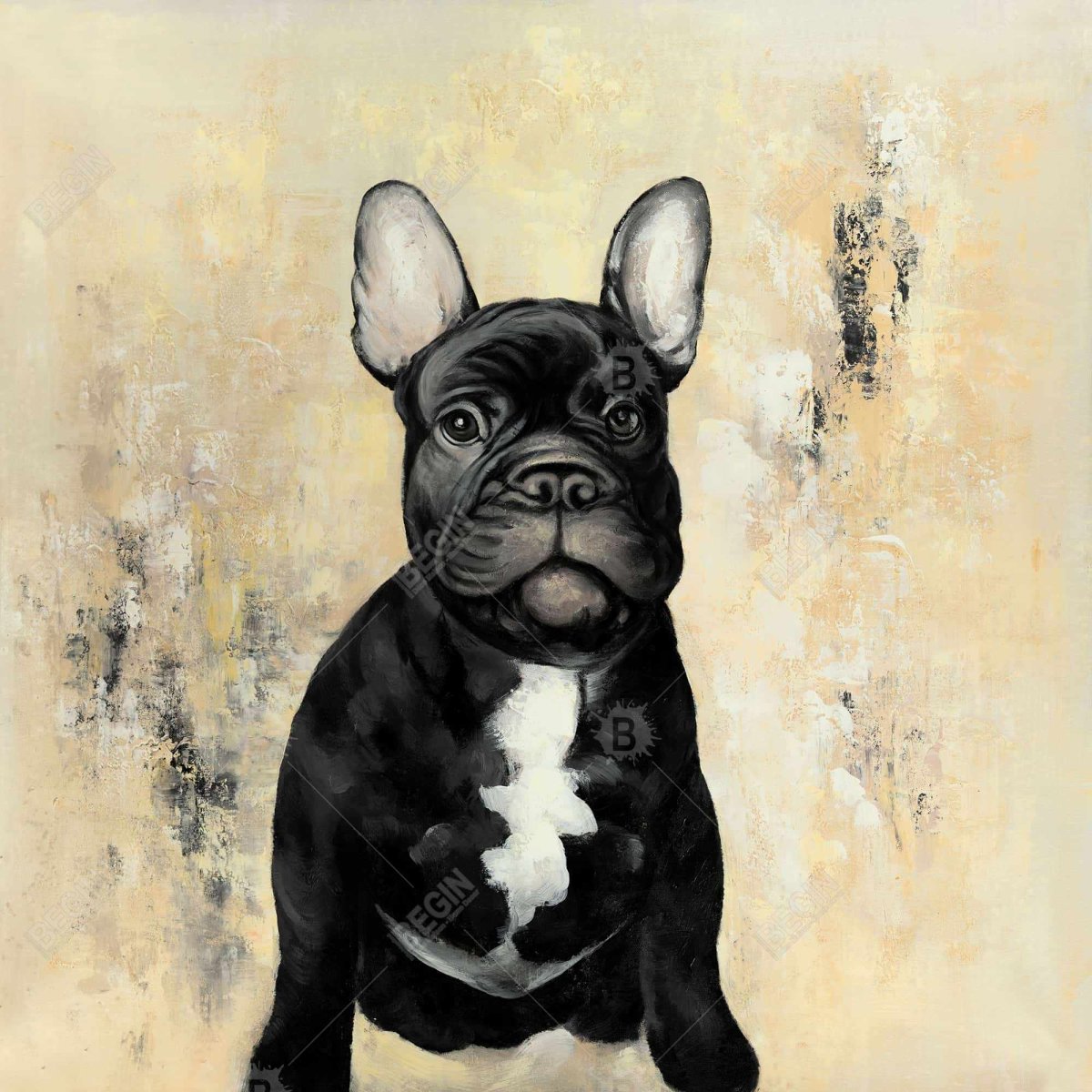 Сциталис французский бульдог