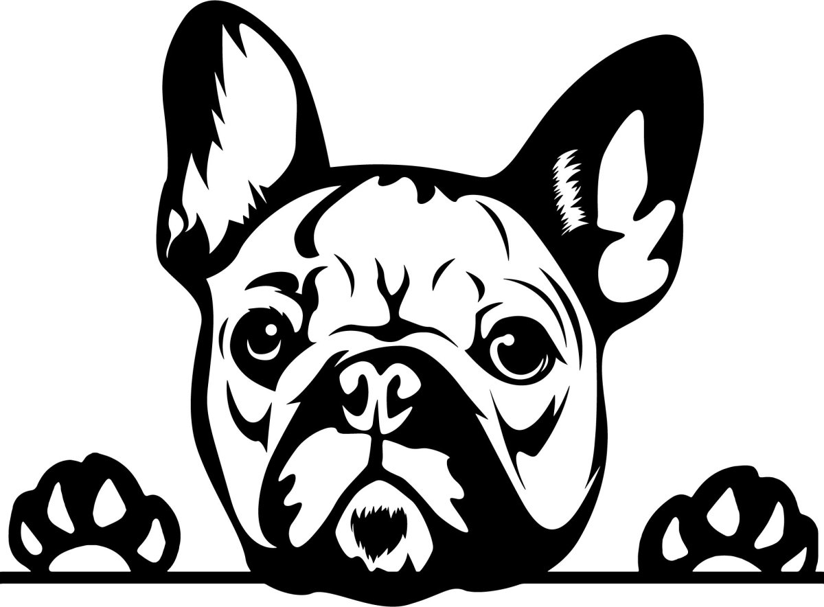 Трафарет французского бульдога