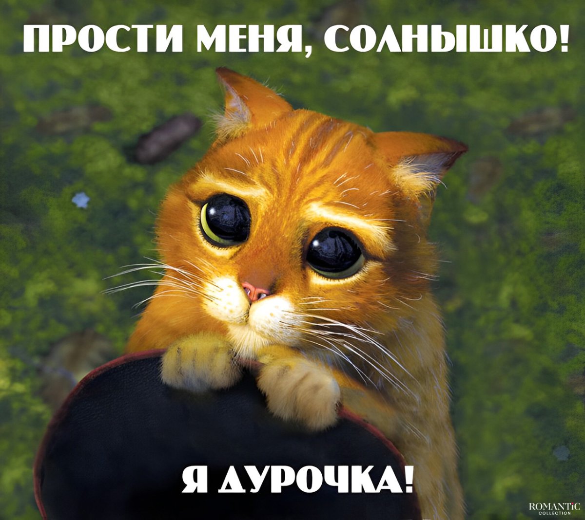 Извинения парню