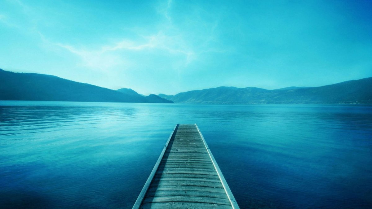 Безумство храбрых вот мудрость