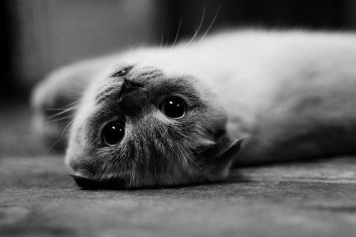 Прости меня