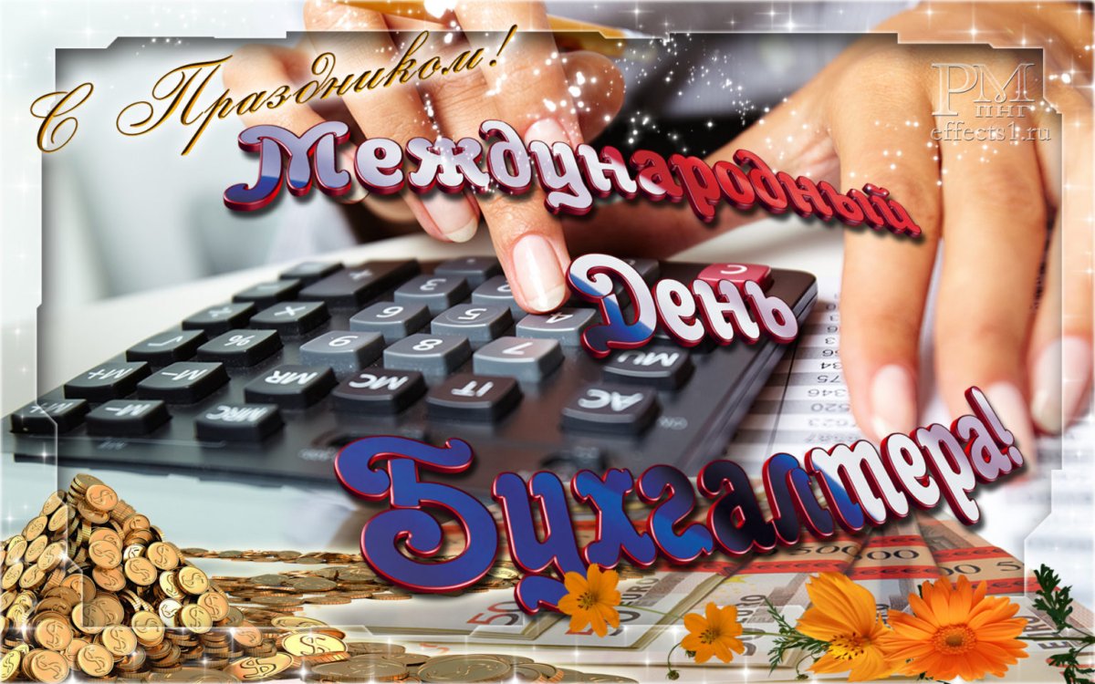 С днём бухгалтера открытки прикольные