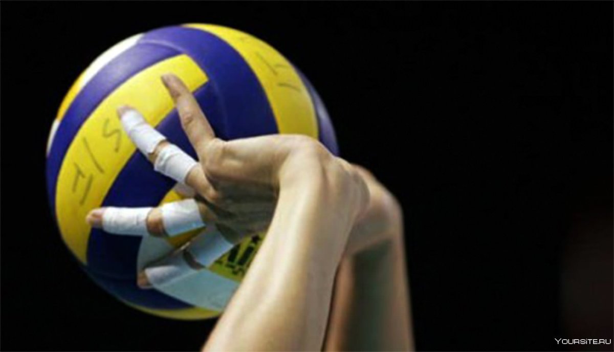 Спорт волейбол