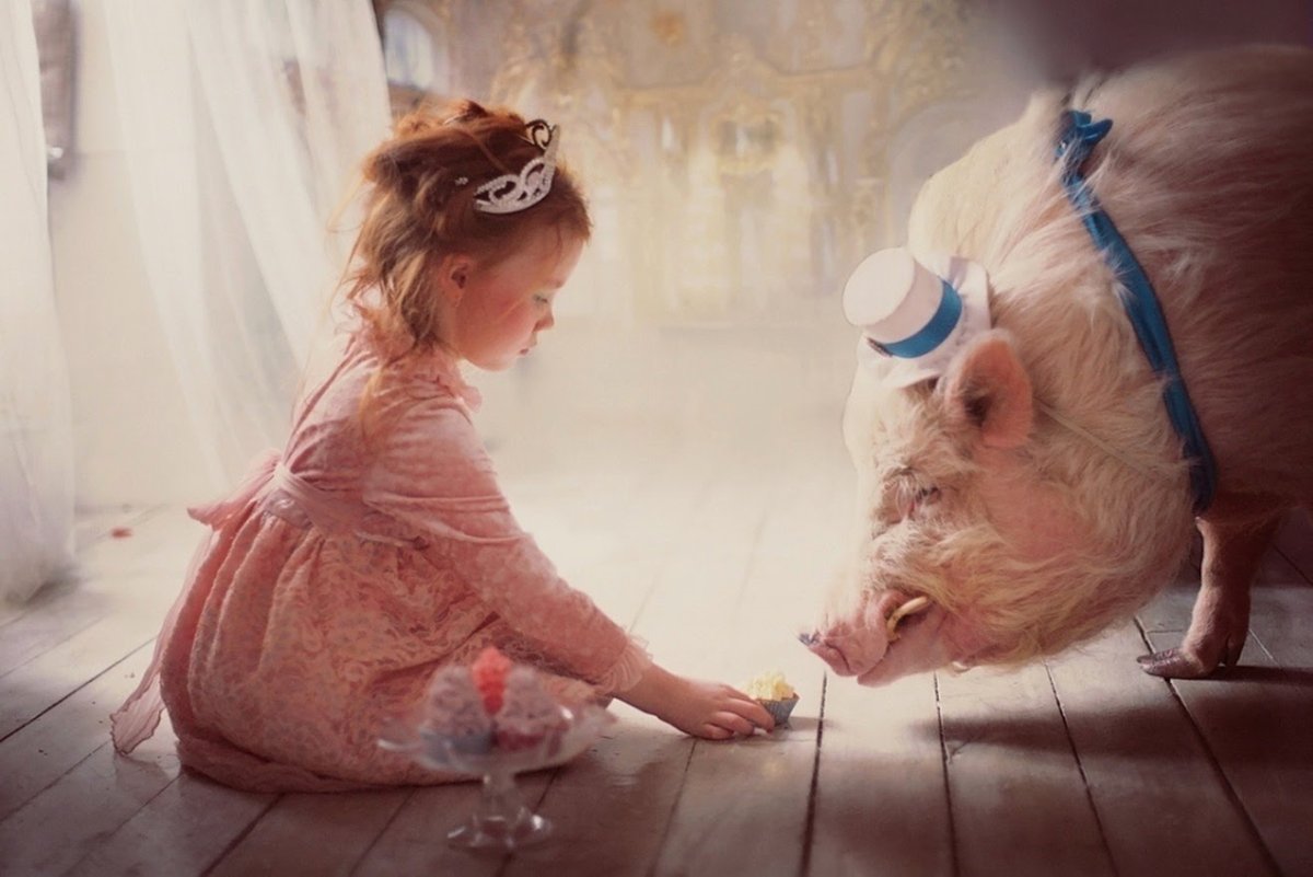 Поросенок на самокате