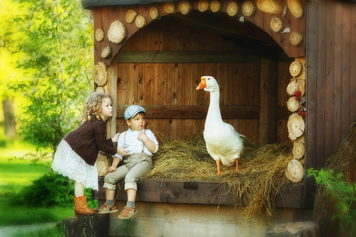 Гуси лебеди