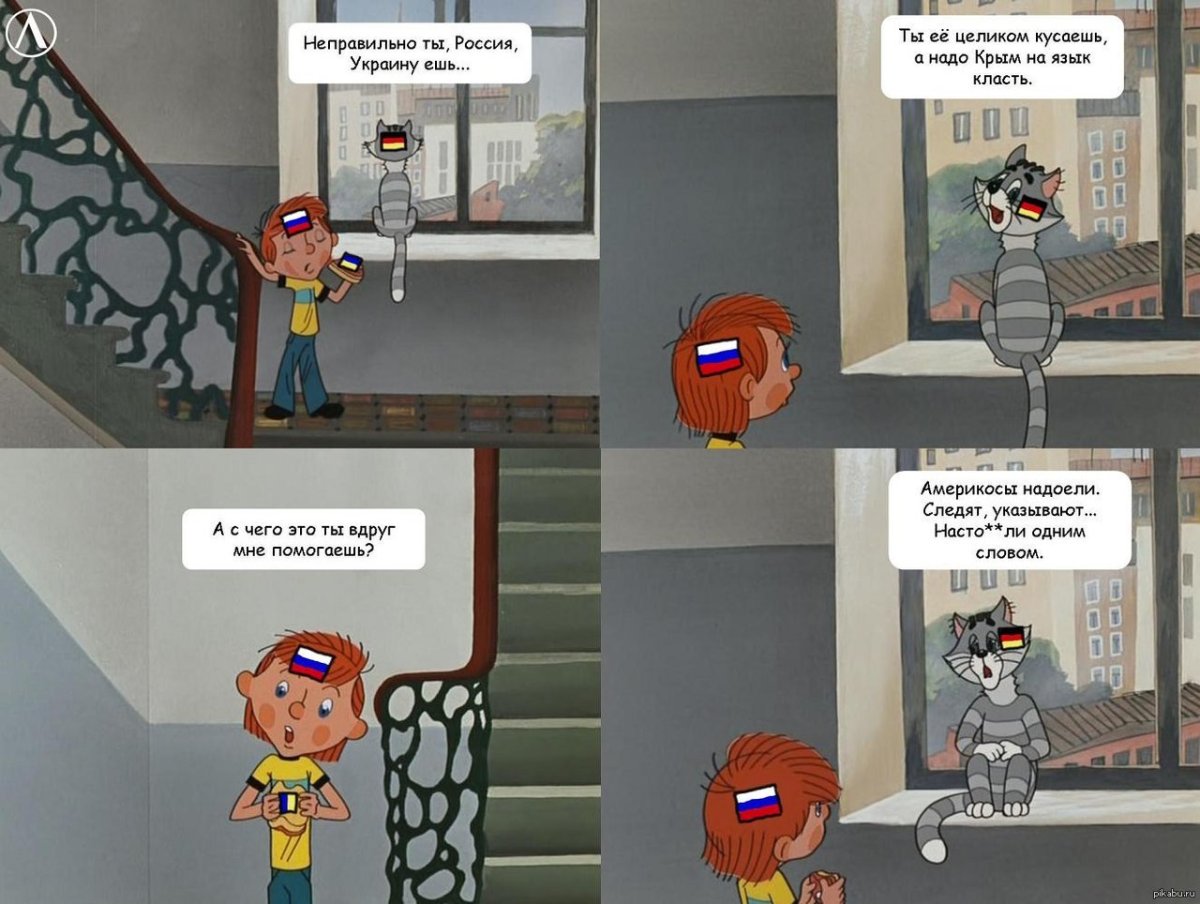 Какая от этого кота польза а от тебя