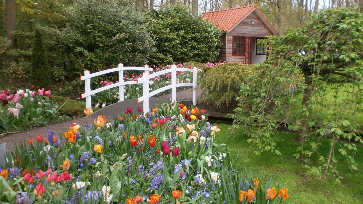 Красивый сад в деревне