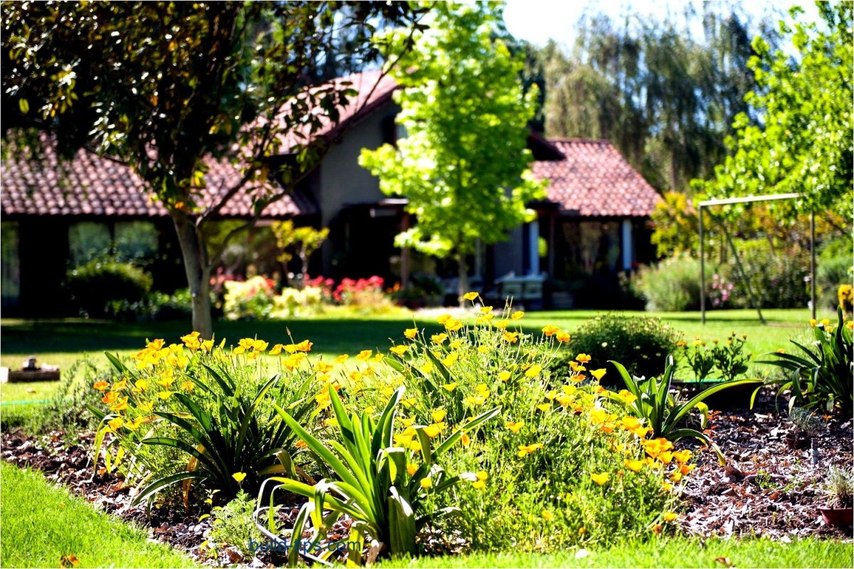 Летом на даче