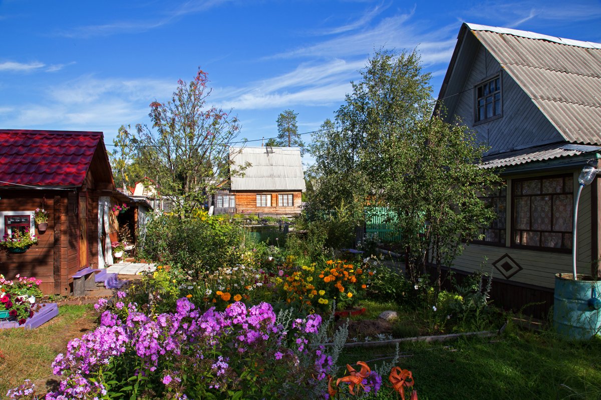 Деревенский сад