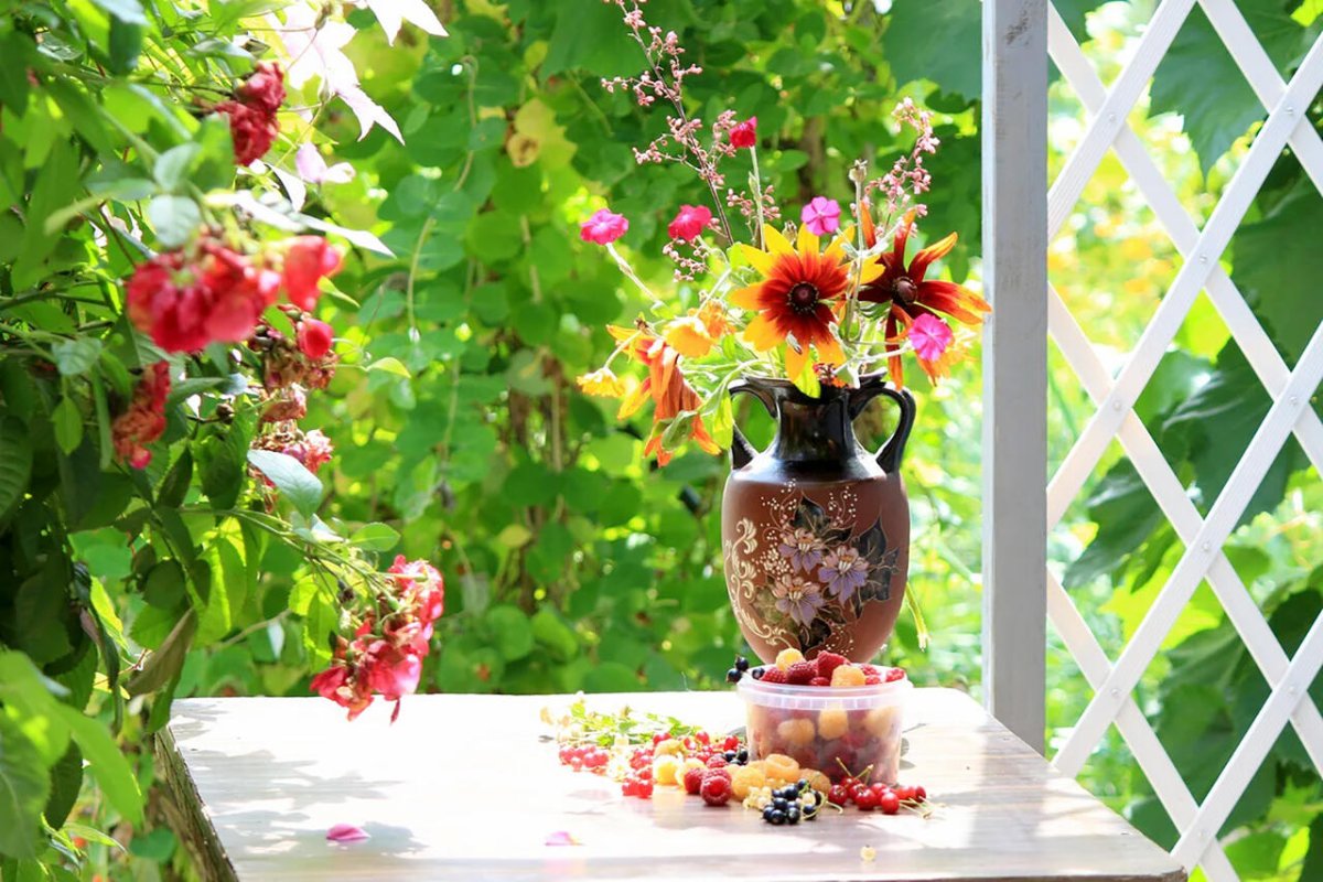 Солнечное утро на даче