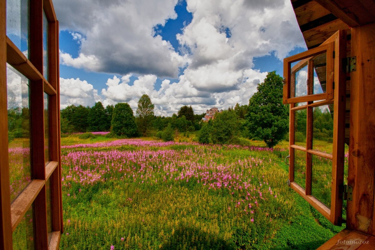 Вид из окна в деревне