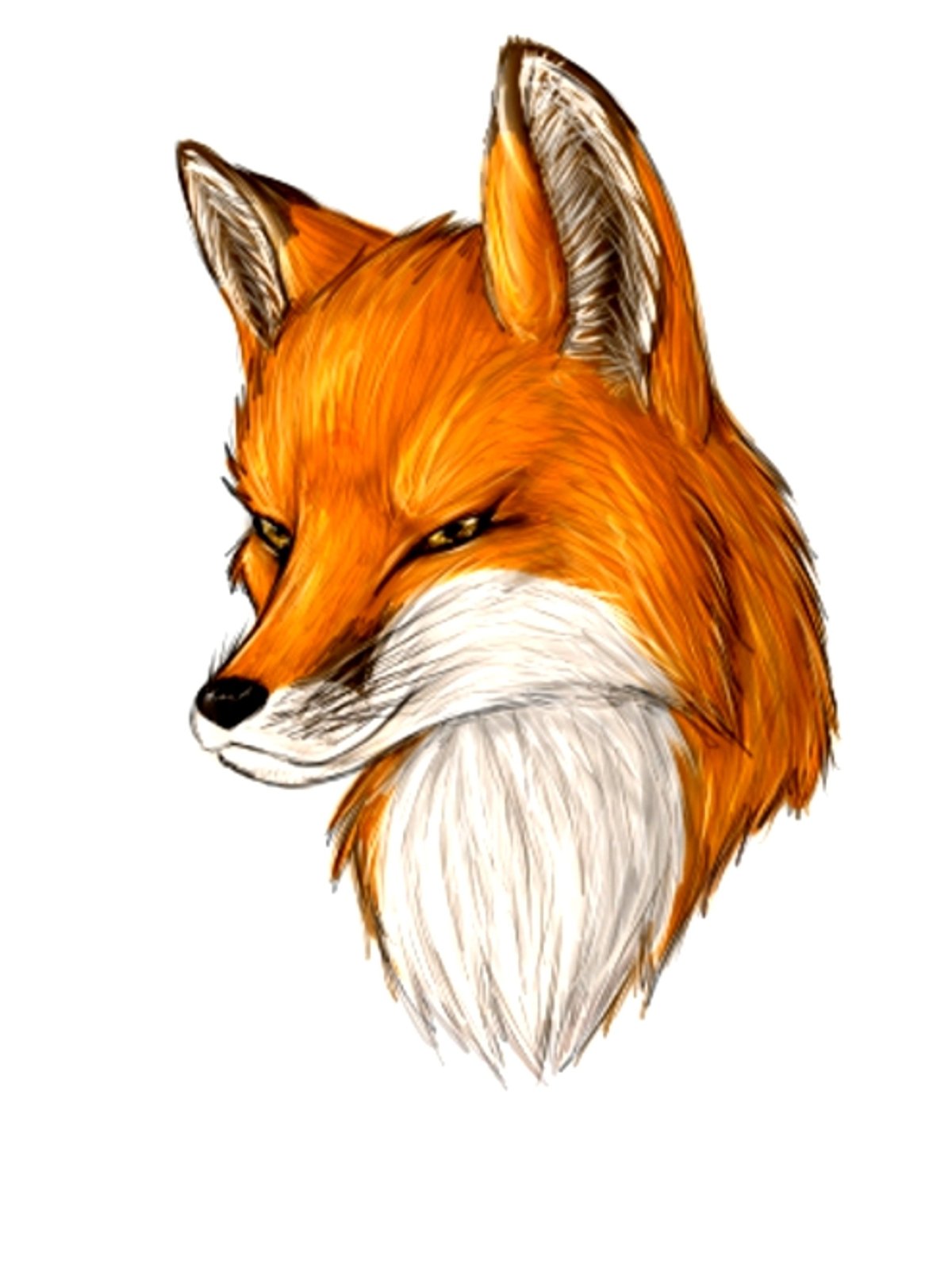 Рисунок лисы