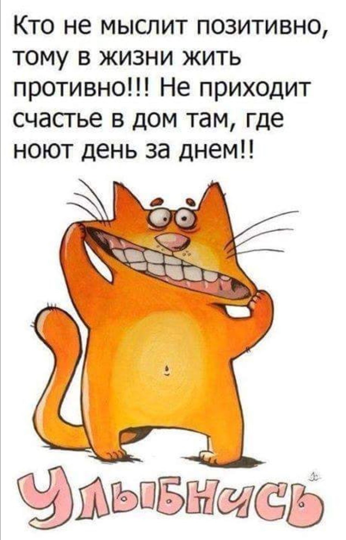Смешные высказывания