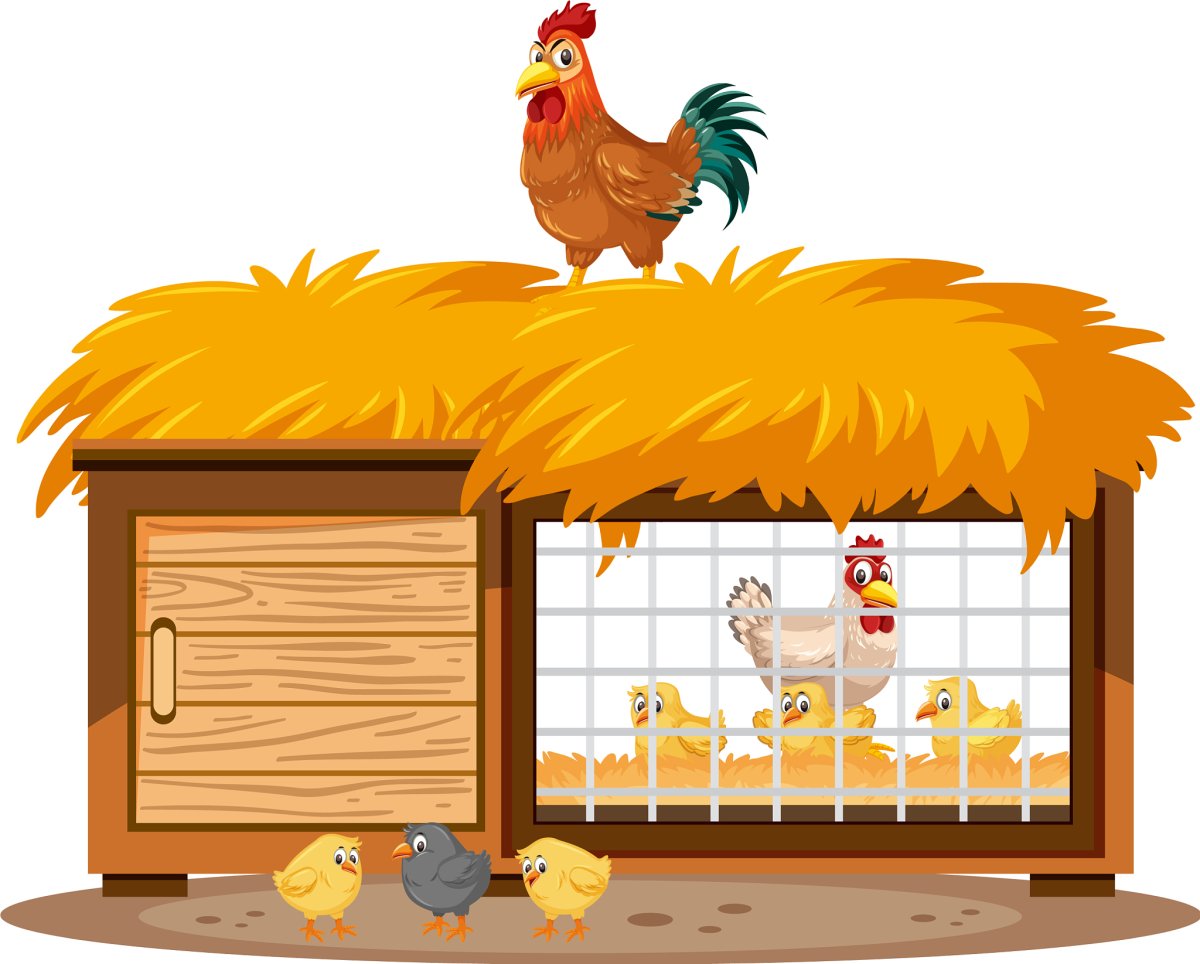 Курятник мультяшный