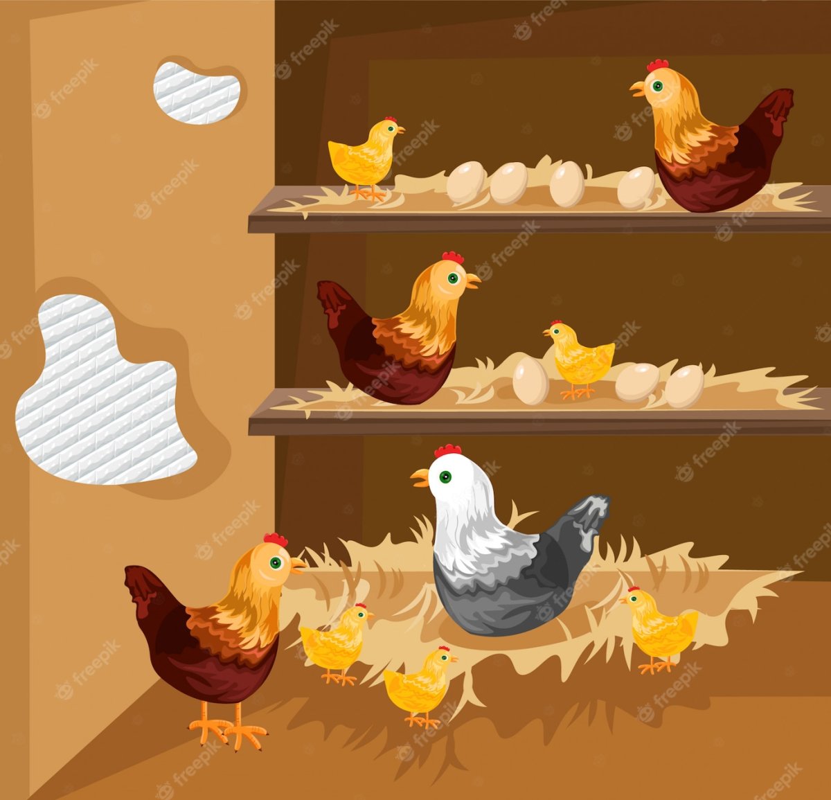 Утро в курятнике