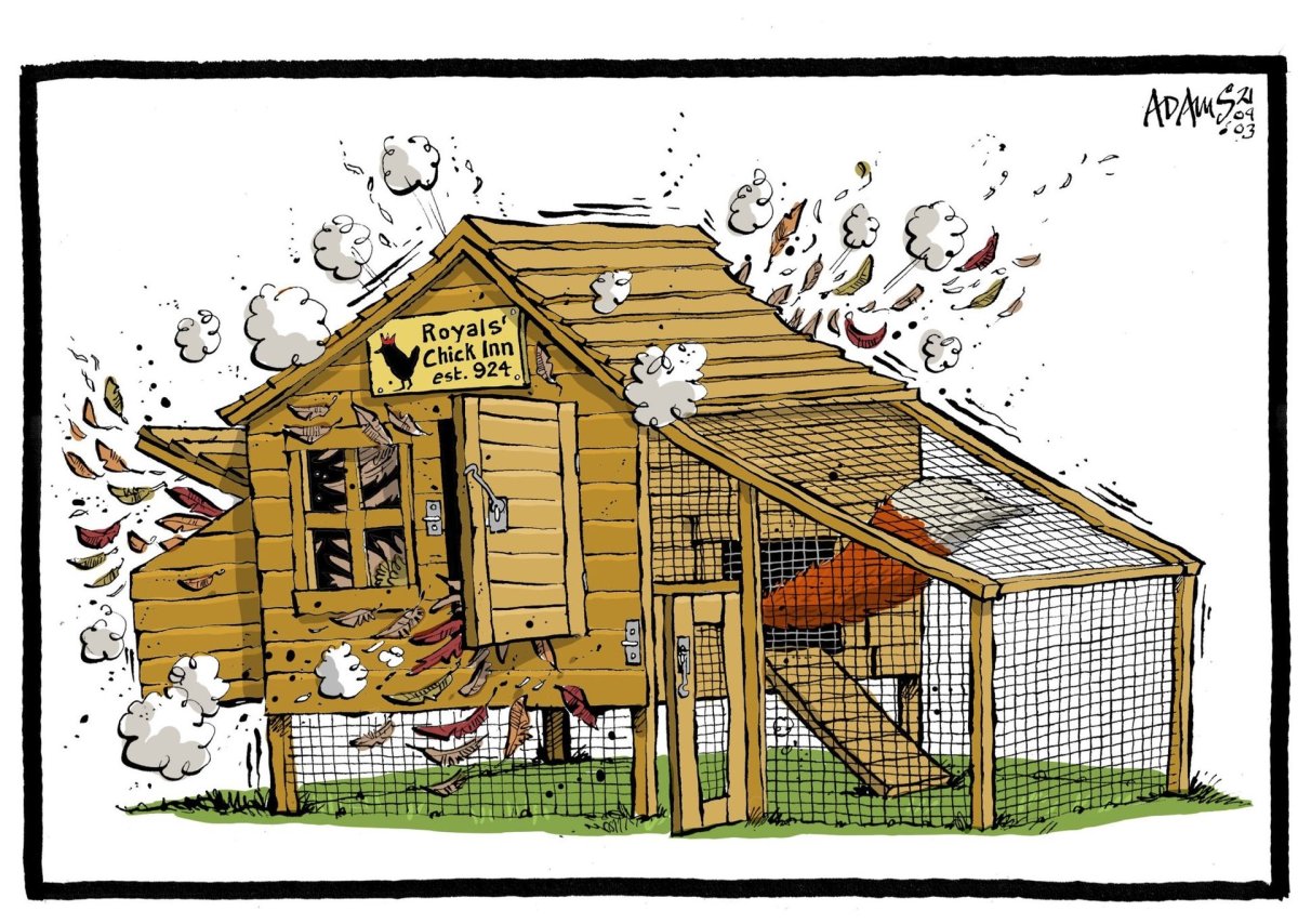 Птичник для детей