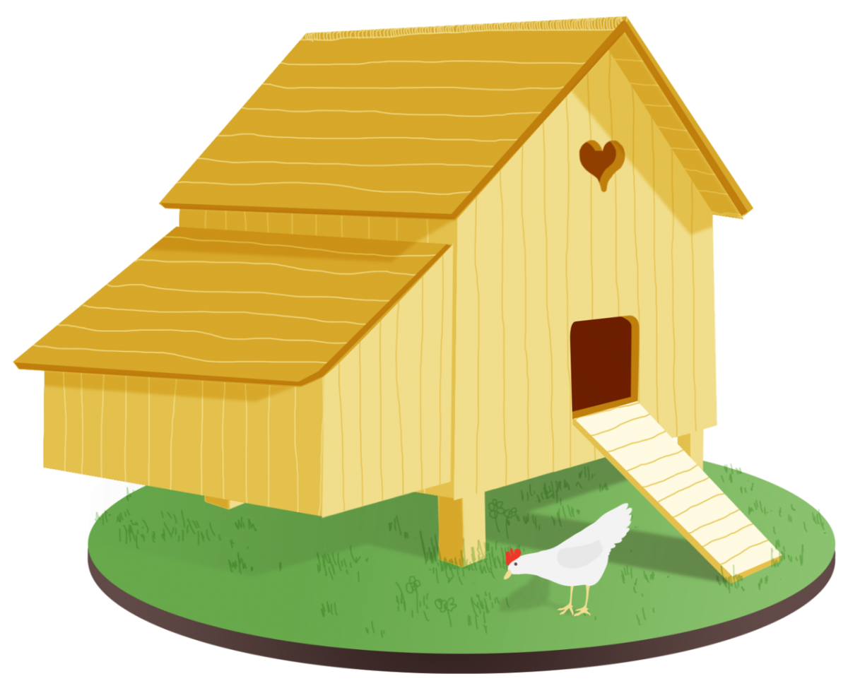Куры в курятнике для детей
