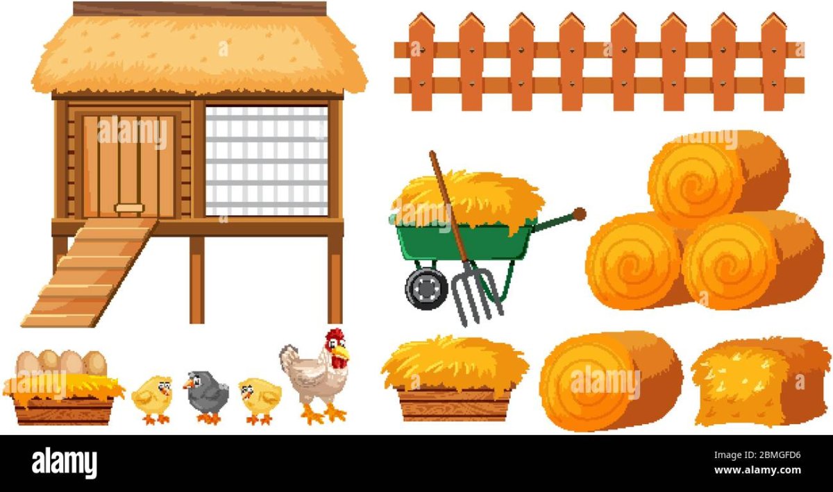 Курятник для детей