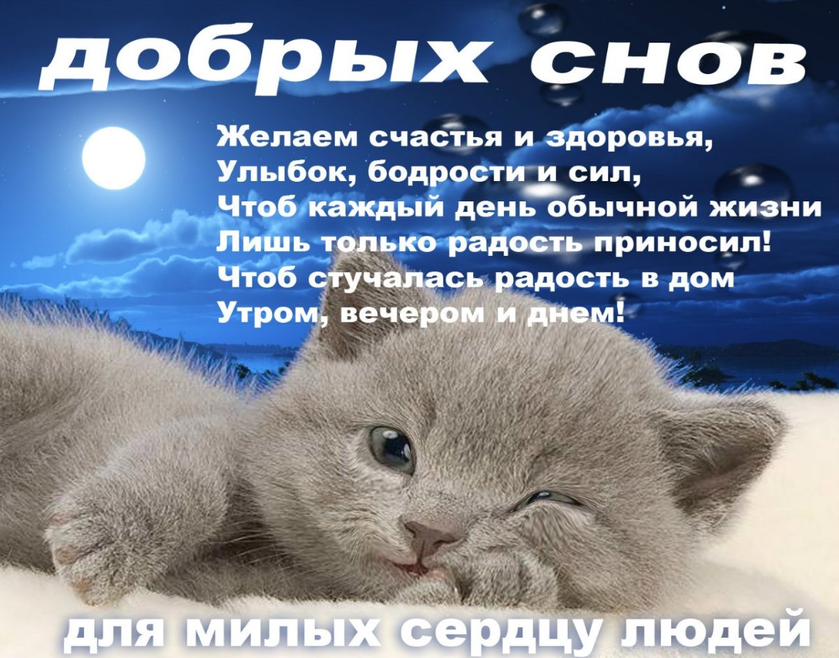 Доброй ночи сладких снов