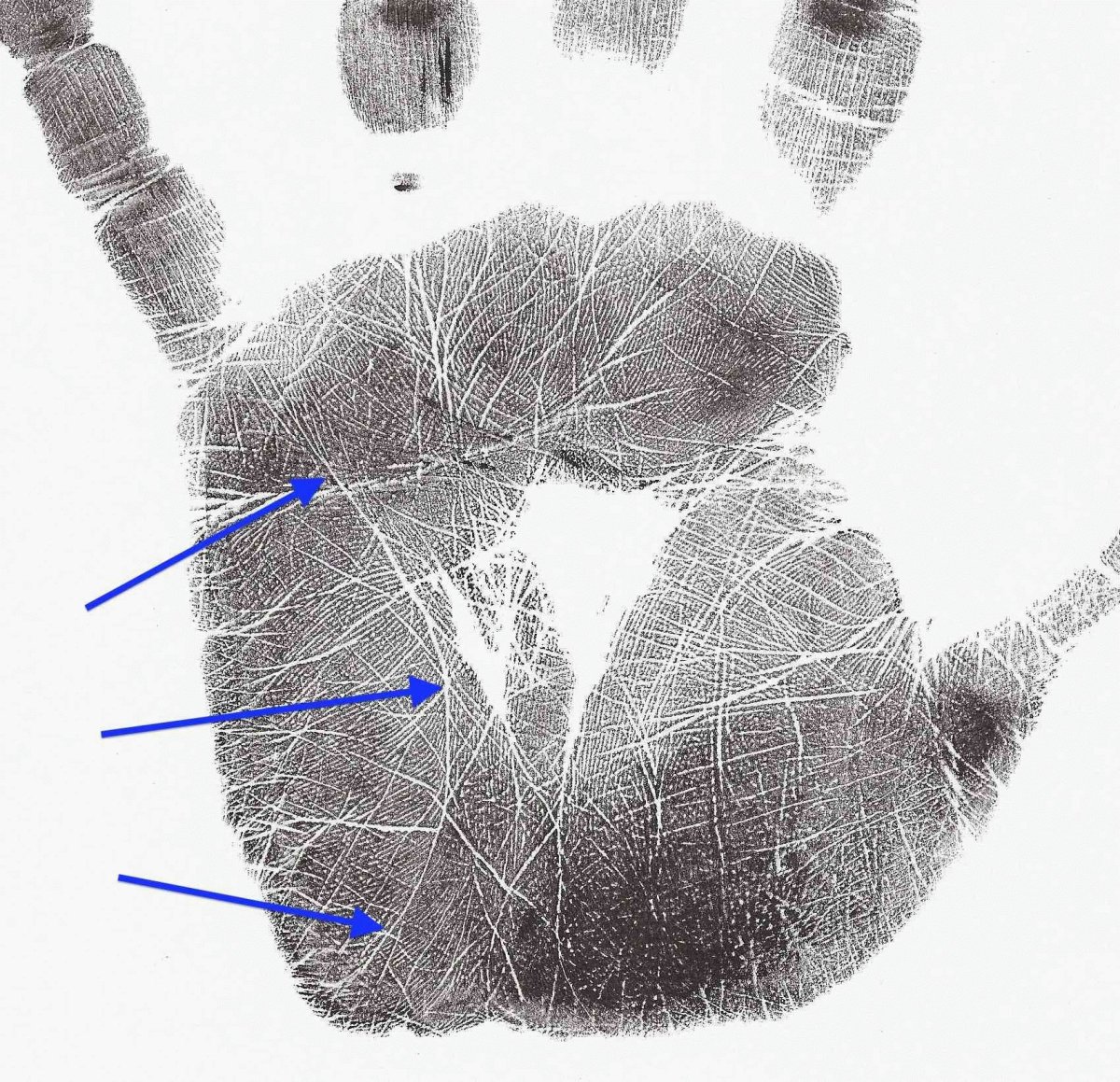 Линия интуиции хиромантия