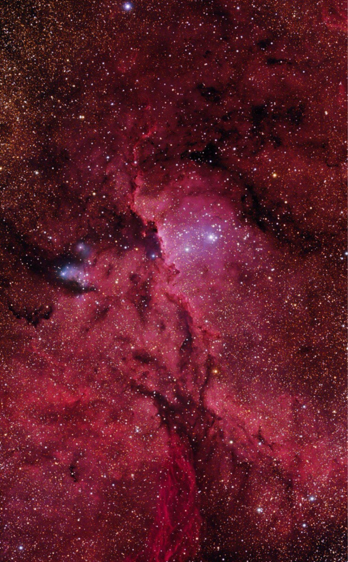 Темно бордовый