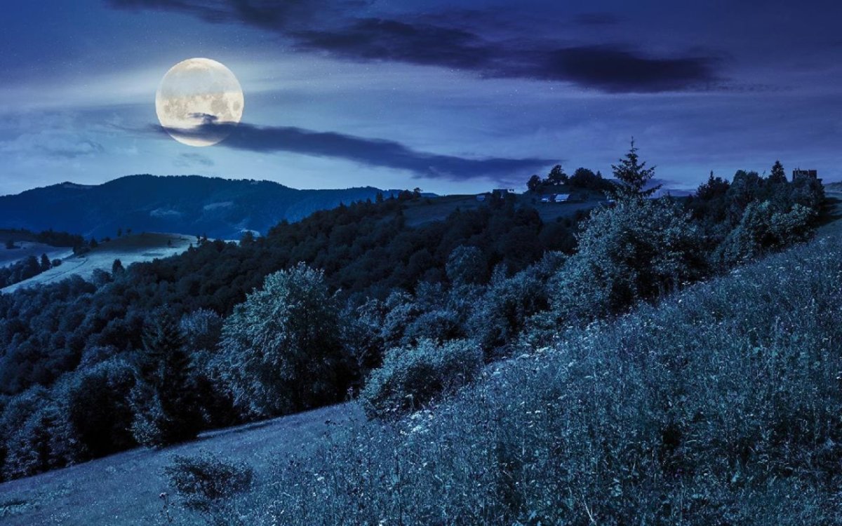 Ночной пейзаж