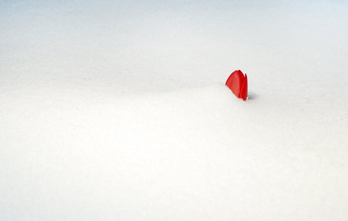 Фон Минимализм