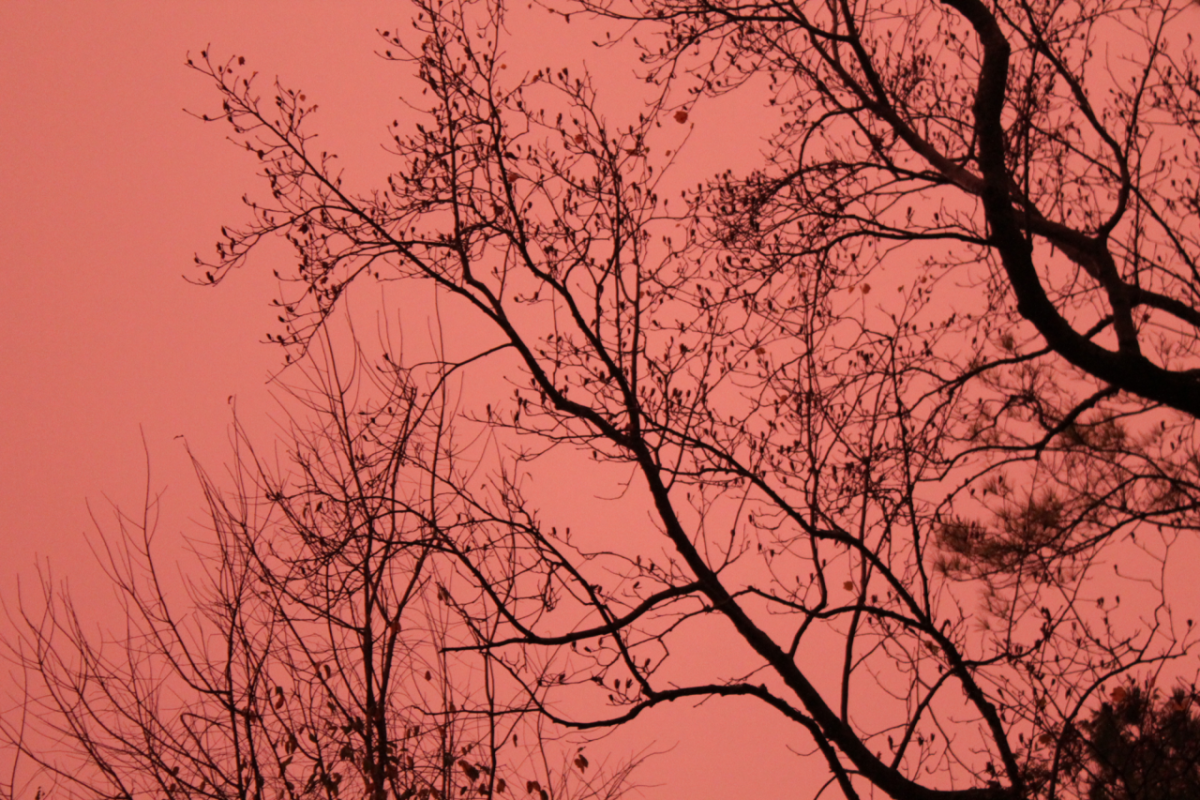 Тёмно красная Эстетика