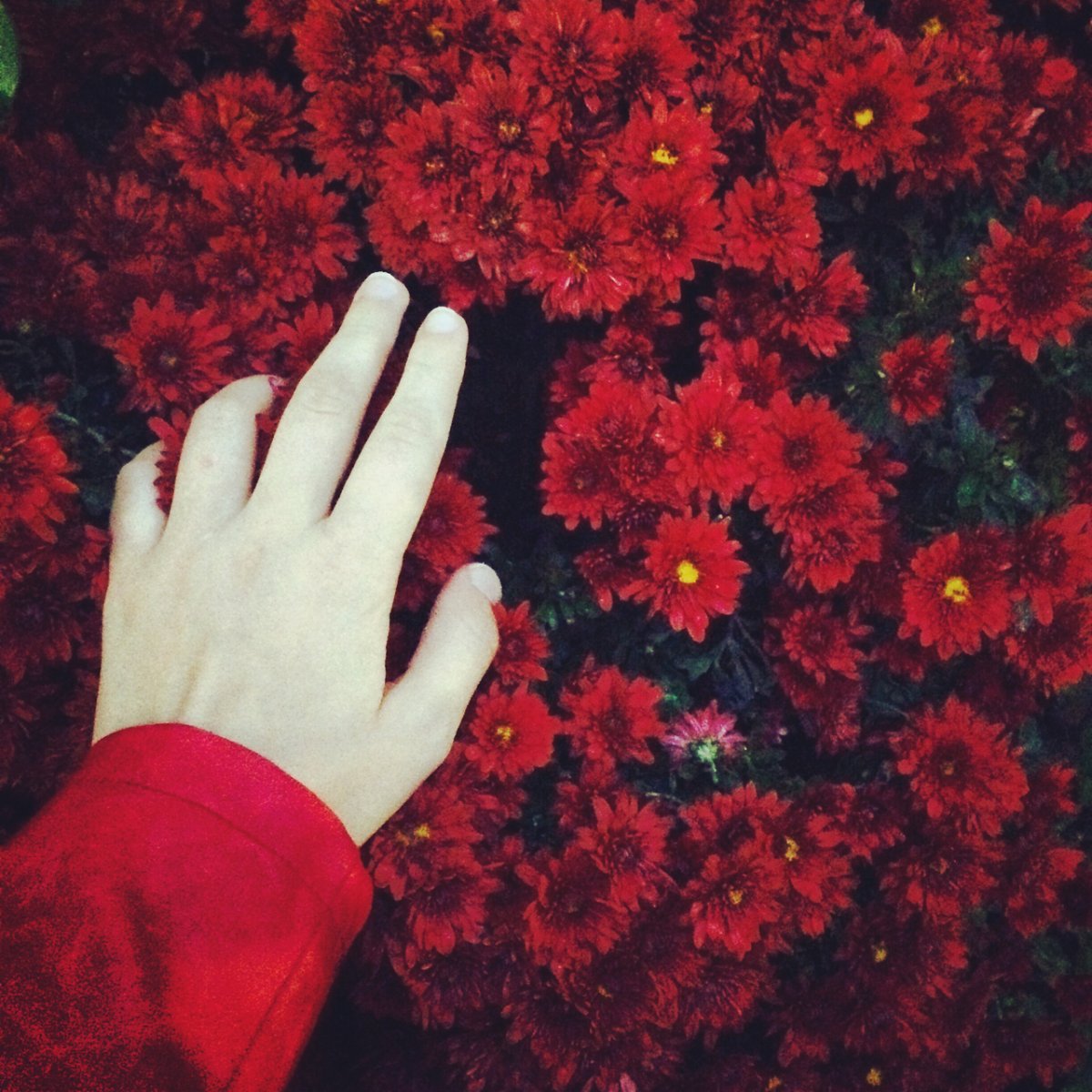 Руки в цветах