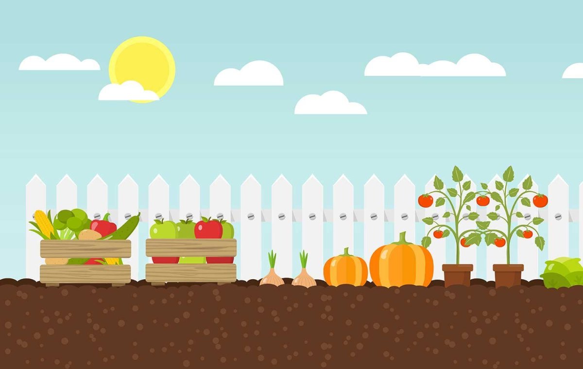 Огород грядки вектор