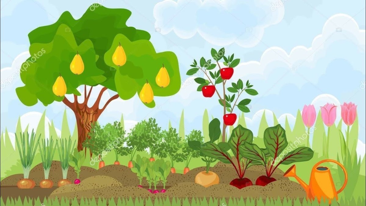 Сад с фруктовыми деревьями для детей