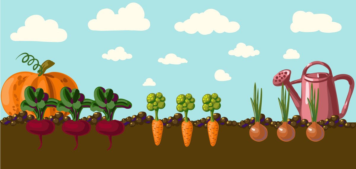 Огород для детей