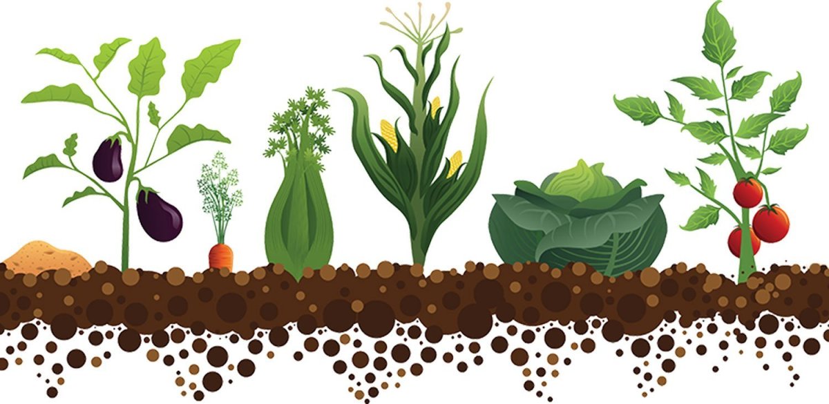 Забор мультяшный