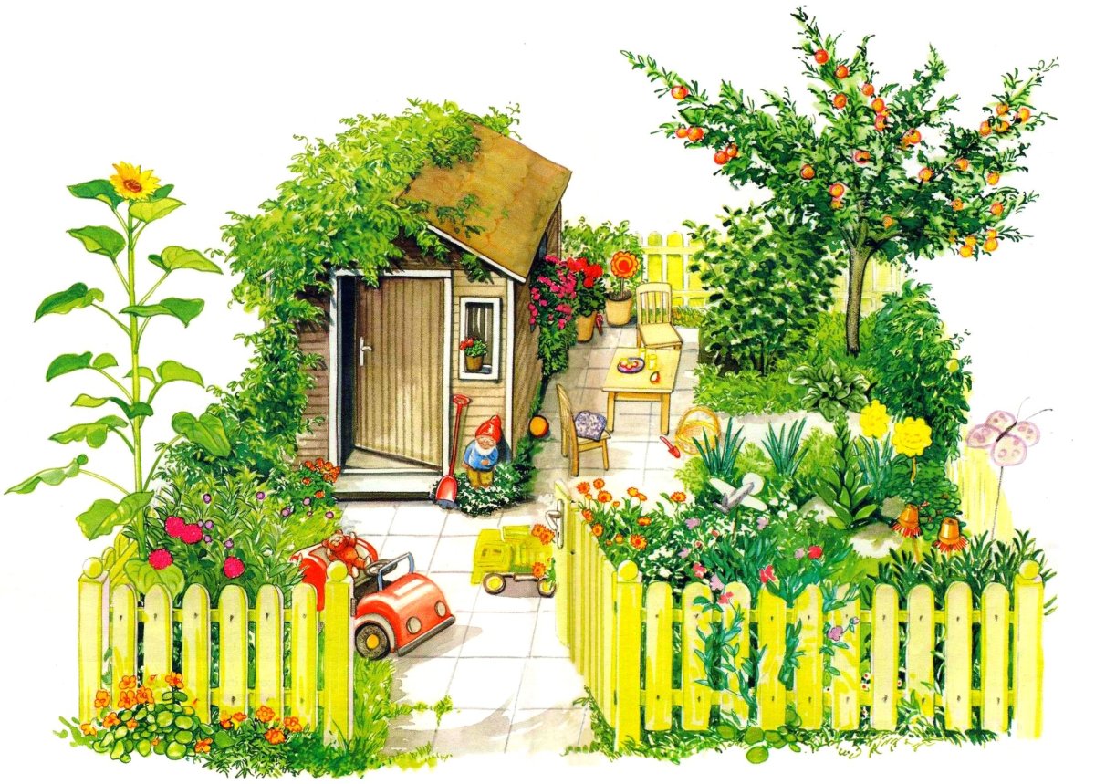 Помидоры на грядке для детей