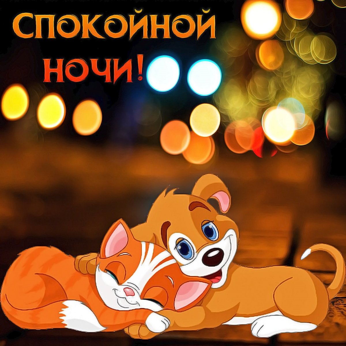 Пожелания на ночь прикольные