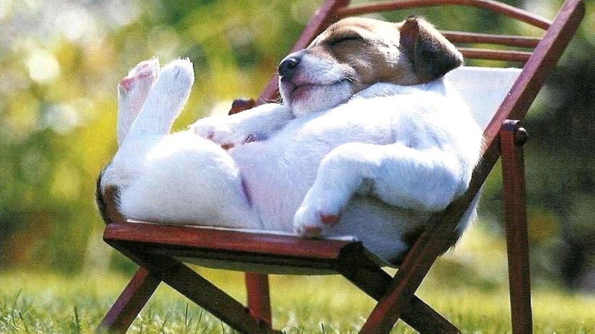 Открытка "выходной"