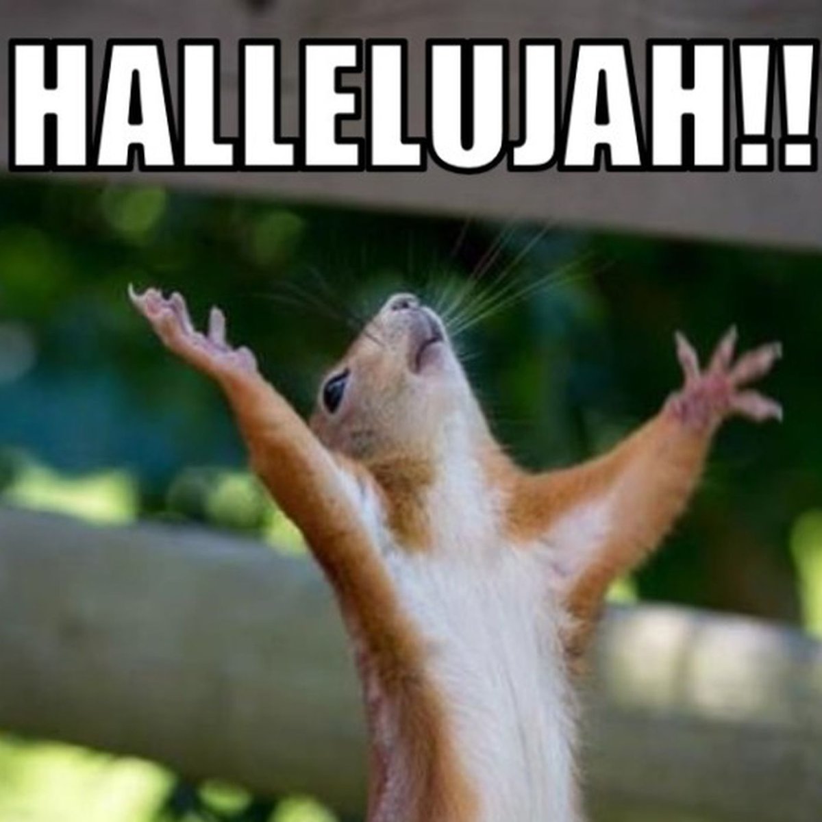 Выходные женщины прикольные