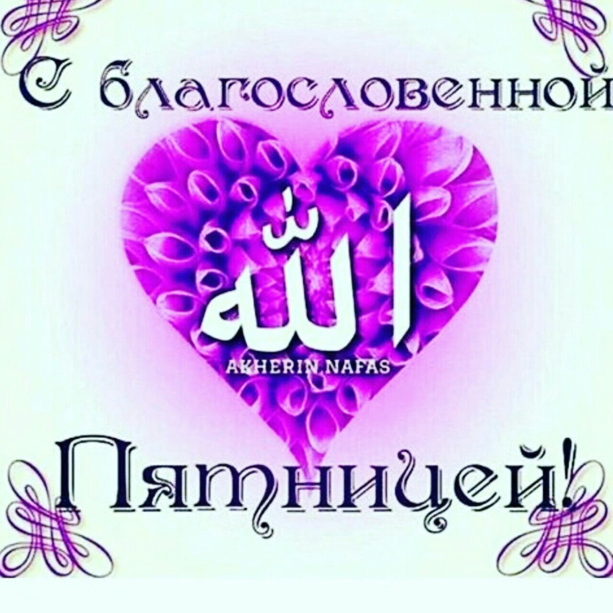 Утренние цветы с пожеланиями